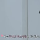 창진스포츠