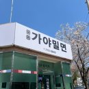 웅동가야밀면 이미지