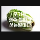 윤투어 이미지