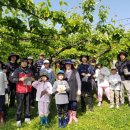 세종도원초등학교 이미지