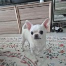 뚜두리빙 이미지