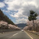 남의로-2 이미지