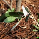 인동농장 이미지