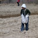 화룡농장 이미지