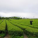 서광리-19 이미지