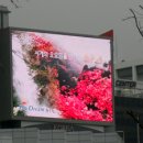 중앙레포츠 이미지