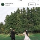 아름디 이미지