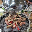 못말리는꼼장어 이미지