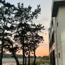 불티나는맛집 이미지