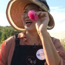 화양연화농장 이미지