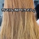 까리노 이미지