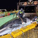 동호동 수협 앞 이미지