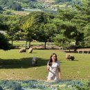 봄내목장 이미지