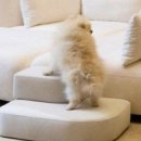 꼬꼬닭하우스 이미지