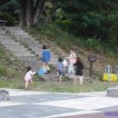월평공원 습지길 이미지