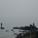 섬인섬 Daum카페