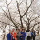 좋은연인요양병원 이미지