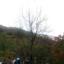 백련산농장 이미지