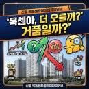 신월약국 | 신월 목동센트럴아이파크위브 입지·실거래가