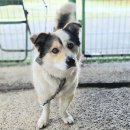 회원동225 이미지