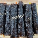 아담스꼬마김밥광교