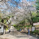 남한산(동) 정상석 이미지