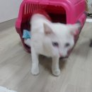 광적동물병원