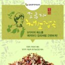 공영인력 이미지