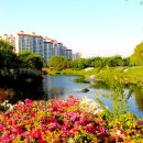 장자호수공원 이미지