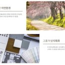 인천선학초등학교 이미지