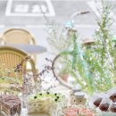 앤즈케이크(Anne's cake)
