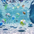 샤츠(Schatz) 이미지