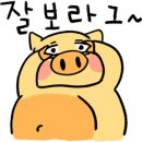 포레스트(For:rest) 이미지