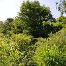 ♬ [200대 명산] 옥계 석병산 산행(2)