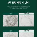 바이브파트너스