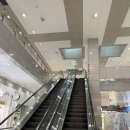 원트 헤어(want hair) | [경기 분당] 헤어펠로우 | 정자역 1인미용실 김현수 대표원장님 레이어드컷 후기