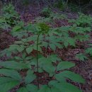 형재농장 이미지