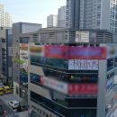 문정태권도장 이미지