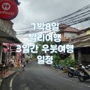 7박 8일 친구랑 가성비 발리 여행 릴렉스하며 휴식했던 3박 4일 우붓 여행 일정 및 후기