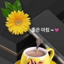 좋은하루