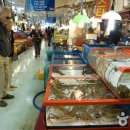 자갈치시장 이미지