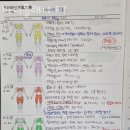 피티플래너 이미지