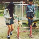 목암중학교 이미지