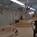 하늘을 걷는 고양이 카페 이미지