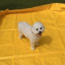 놀러오개 서대문점 이미지