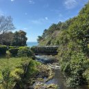 예원스테이 | 카페, 서귀포 가볼만한곳, 제주남쪽 가볼만한곳, 에가톳 다도 후기, 엉덩물계곡 유채꽃, 제주 카페패스