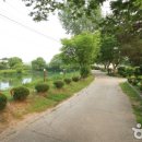 까사미오 이미지