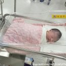 한마음정신병원 | 출산 : 한마음병원 제왕절개후기, 다인실 1인실 이용후기