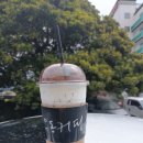지애약국 이미지