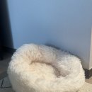 하루멍멍 | 멍멍집사 고양이 마약방석 고양이방석 도넛방석 후기